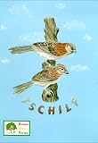 Tschilp
