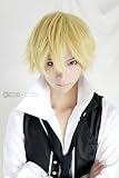 Durarara Shizuo Heiwajima Short Party Costume Cosplay Wigs
