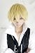 Durarara Shizuo Heiwajima Short Party Costume Cosplay Wigs