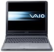 Sony Vaio A195EP Centrino 1.5Ghz 15" XGA 60Gb 5125Mb CD-RW/DVD ROM Win XP Pro