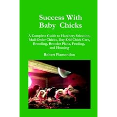 Success with Baby Chicks