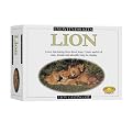 Eyewitness Lion Model Kit