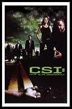 CSI: Crime Scene Investigators (Las Vegas Cast on Road) TV Black Wood-Mounted Poster Print - 11 X 17
