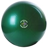 GoFit Ultimate Core Stability Ball