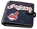Cleveland Indians Rock N' Road CD Holder