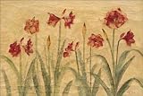 Row Of Red Amaryllis - Artist: Cheri Blum - Art Print on Canvas - Image Size: 36.00 by 24.00 inches Art Print on Canvas