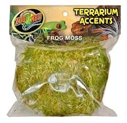 ZOO ACCENTS FROG MOSS