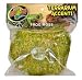 ZOO ACCENTS FROG MOSS