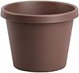 Akro-Mils LIA06000E21 Classic Pot, Chocolate, 6-Inch