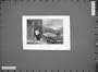 Animals 1865 House Keeper Lady Girl Cow Dog Mountains