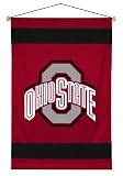 Ohio State Buckeyes Sideline Wall Hanging (29x45) NCAA