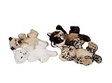 Review Ajena  / Ajena Baby Wild Cats - 3 Colours Item will vary