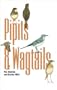 Pipits and Wagtails.
