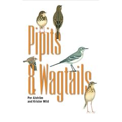 Pipits and Wagtails