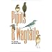 Pipits and Wagtails.