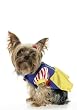 2Pc Snow White Cute Dog Holiday Pet Costume