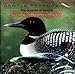 Sounds of Nature: The Cry of The Loon