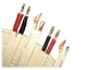 SuperFlat Mini Navajo White Easy-to-Hide Speaker Cable - 50 ft. pc. with 4 prs. pins