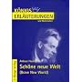 K�nigs Erl�uterungen und Materialien, Bd.338, Sch�ne neue Welt