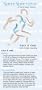 SportSpectator Track and Field Guide, with Cross Country (Basic Track and Field Rules and Strategies)