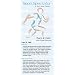 SportSpectator Track and Field Guide, with Cross Country (Basic Track and Field Rules and Strategies)