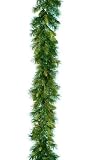 National Tree Company WCH7-50-9B 9 Footx12 Inch Winchester Pine Garland