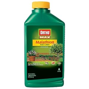 Ortho 0165210 Malathion Plus Insect Spray Concentrate - 32 oz.