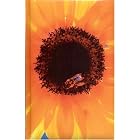Blank Journal: Sunflower by  Linda Gammell