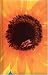 Blank Journal: Sunflower