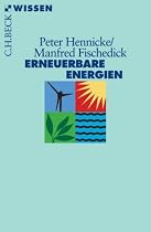 Erneuerbare Energien: Mit Energieeffizienz zur Energiewende