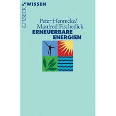 Erneuerbare Energien: Mit Energieeffizienz zur Energiewende