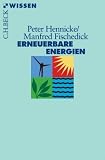 Erneuerbare Energien: Mit Energieeffizienz zur Energiewende