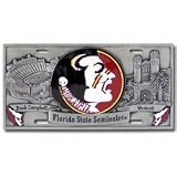 Florida State Seminoles 3-D License Plate