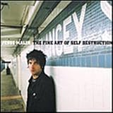 Fine Art of Self Destruction [VINYL]