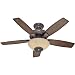 Hunter 21623 52-Inch Concert Breeze Ceiling Fan with Wireless Sound System, New Bronze