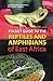 Pocket Guide to the Reptiles and Amphibians of East Africa (Pocket Guide)