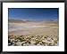Altiplano and High-Level Volcanoes, El Tatio Basin, Above Calama, Atacama Desert, Chile Scenic Framed Art Poster Print by Tony Waltham, 31x25