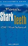 Fossil Shark Teeth of the World
