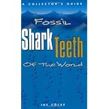 Fossil Shark Teeth of the World