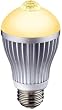 RITEX ライテックス 人センサー付LED電球 60型 【電球色】 E26口金 S-LED60L