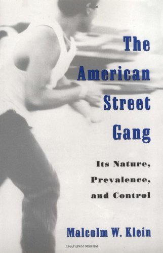 The American Street Gang: Its Nature, Prevalence, and Control (Studies in Crime and Public Policy)