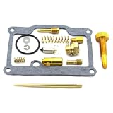 Freedom County ATV FC03402 Carburetor Rebuild Kit for Polaris 300 2x4, 4x4, Xplorer... by Freedom Grill