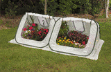 Outdoor Living : StarterHouse