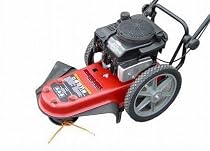 Swisher SST22625N String Trimmer, 6.25 Gross Torque Briggs & Stratton Engine (Non-CARB Compliant)
