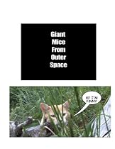 Giant Mice From Outer Space (The Adventures of Finny the City Cat)