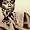 The Essential Sarah Vaughan