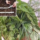 Herb Seeds - Herb Garden Seed Tape Collection