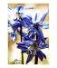 Blue, Flowers Poster Print by Donna Condida, 20x24
