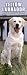 Yellow Labrador Retrievers 2005 Slimline Wall Calendar