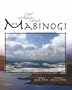 The Mabinogi